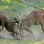 Le Domaine De Montchevreuil Fresneaux-Montchevreuil