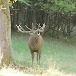 Le Domaine De Montchevreuil 3*