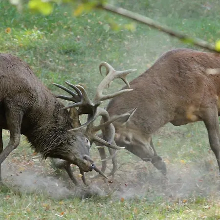 Domaine De Montchevreuil Fresneaux-Montchevreuil