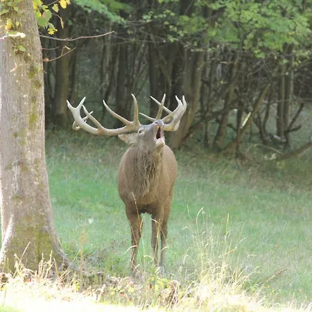 Le Domaine De Montchevreuil 3*