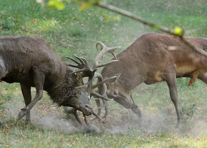 Domaine De Montchevreuil Fresneaux-Montchevreuil