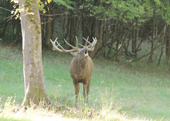 Domaine De Montchevreuil 3*