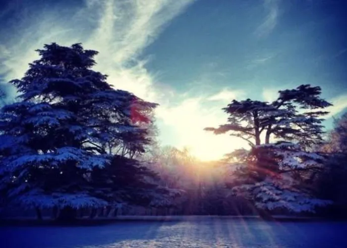 Domaine De Montchevreuil