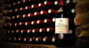 Guest house Domaine De Montchevreuil 3*